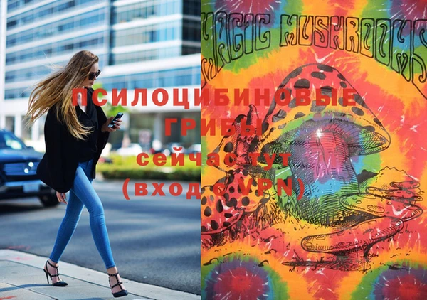 mix Алексин