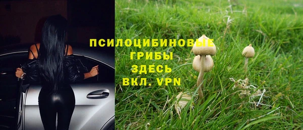 бутират Алзамай