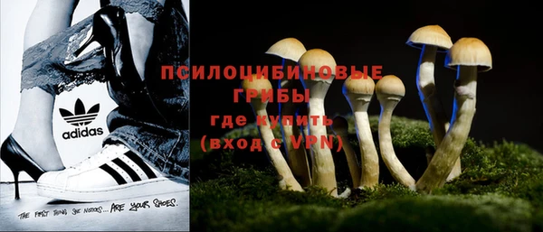 бутират Алзамай